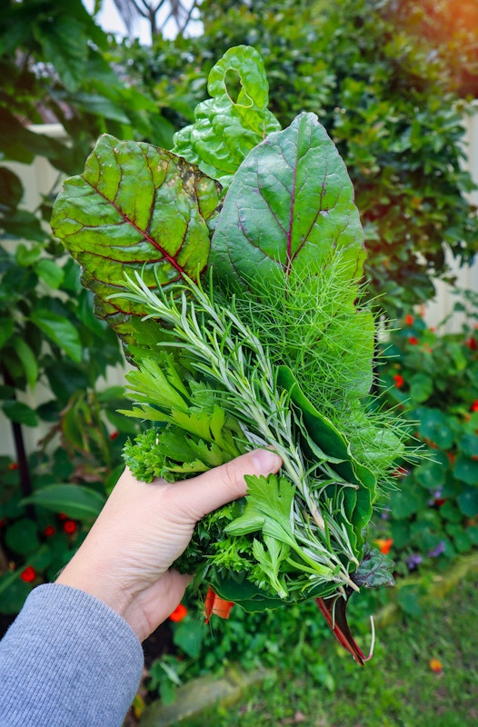 garden greens