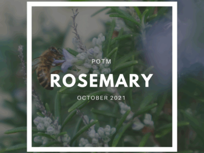 Rosemary