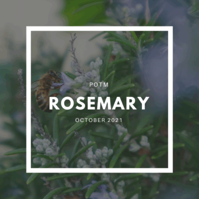 Rosemary