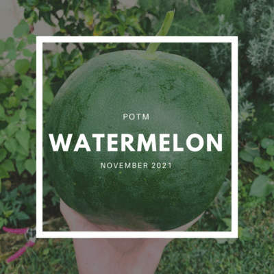 Watermelon
