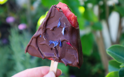Easy Chocolate-Dipped Watermelon Pops – Healthy Summer Treat