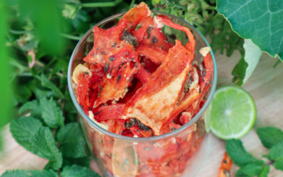 Mojito Watermelon Jerky Recipe – Dehydrated Watermelon with Mint & Lime