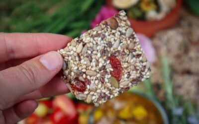 Super Seed Crackers