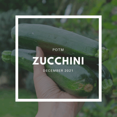 Zucchini
