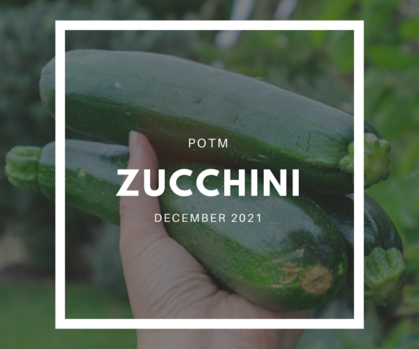 Zucchini