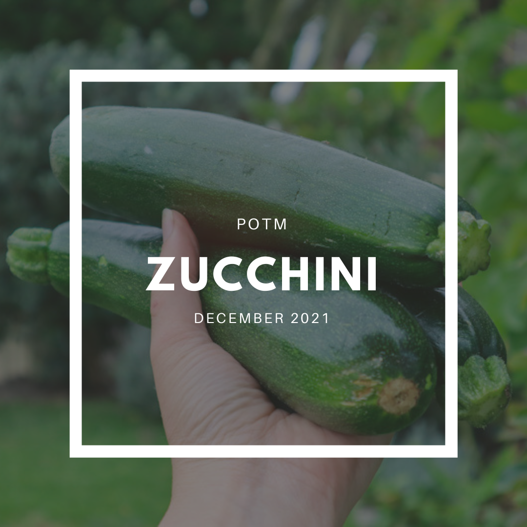 Zucchini