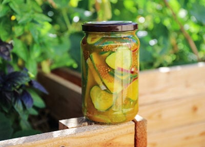 Quick Sweet & Sour Turmeric Pickles