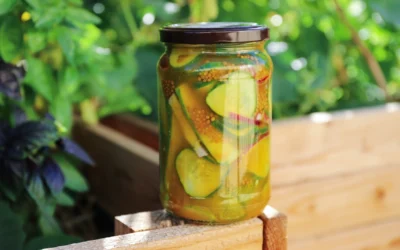 Quick Sweet & Sour Turmeric Refrigerator Pickles