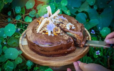 Banana Layer Cake with Avocado Chocolate Mousse