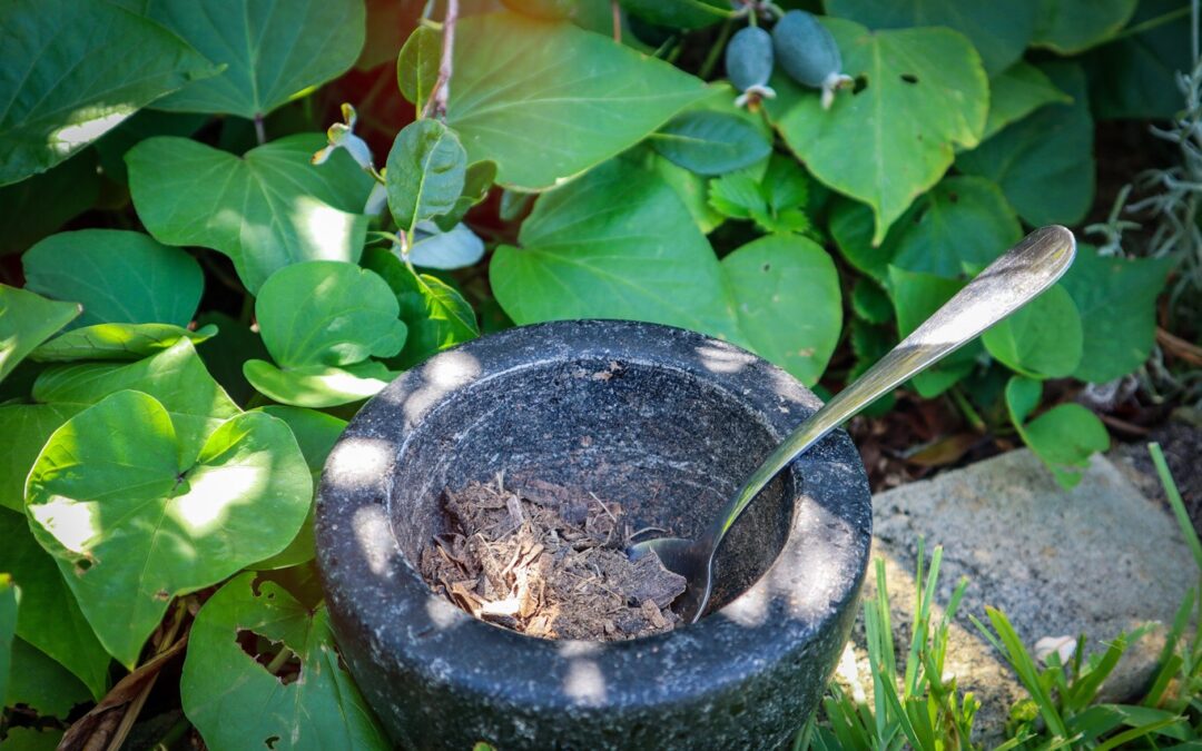 Dried Banana Peel Fertilizer