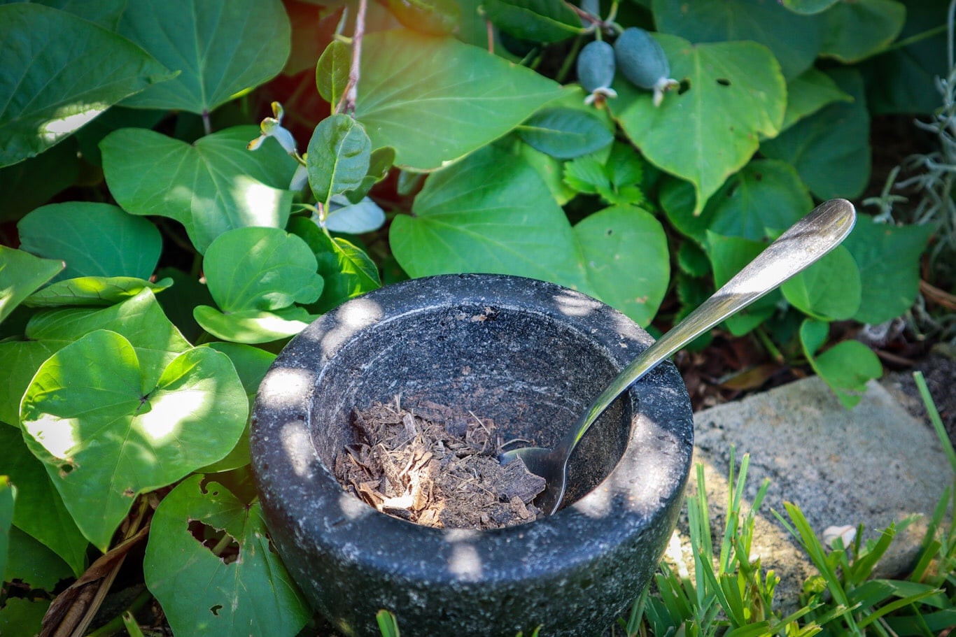 Dried Banana Peel Fertilizer - Sustainable Holly