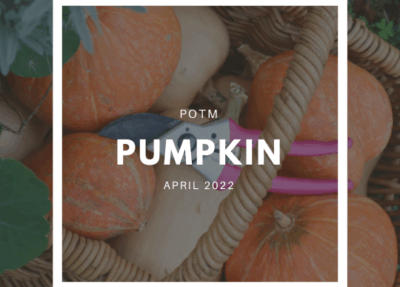 Pumpkin Grow Guide
