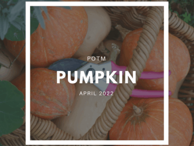 Pumpkin Grow Guide