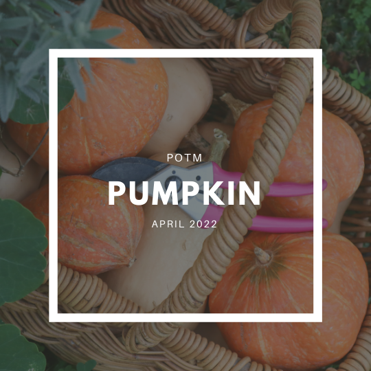 Pumpkin Grow Guide