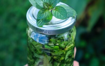 Chocolate Mint Extract