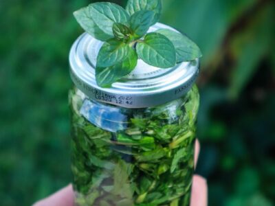 Chocolate Mint Extract