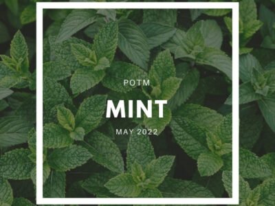 Mint