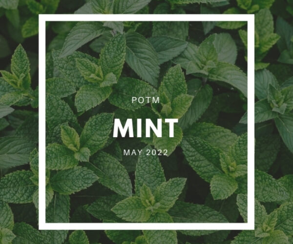 Mint
