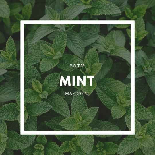 Mint