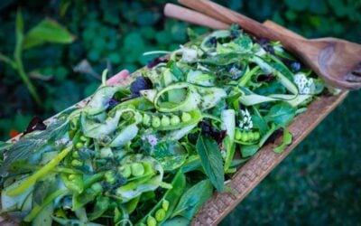 Rocket, Zucchini, Pea and Mint Green Salad