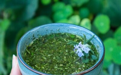 Homemade Mint and Rosemary Sauce – Easy Garden to Plate Recipe