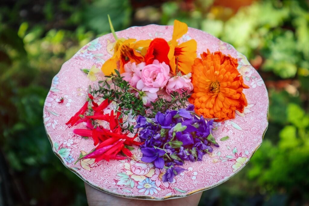 edible flowers