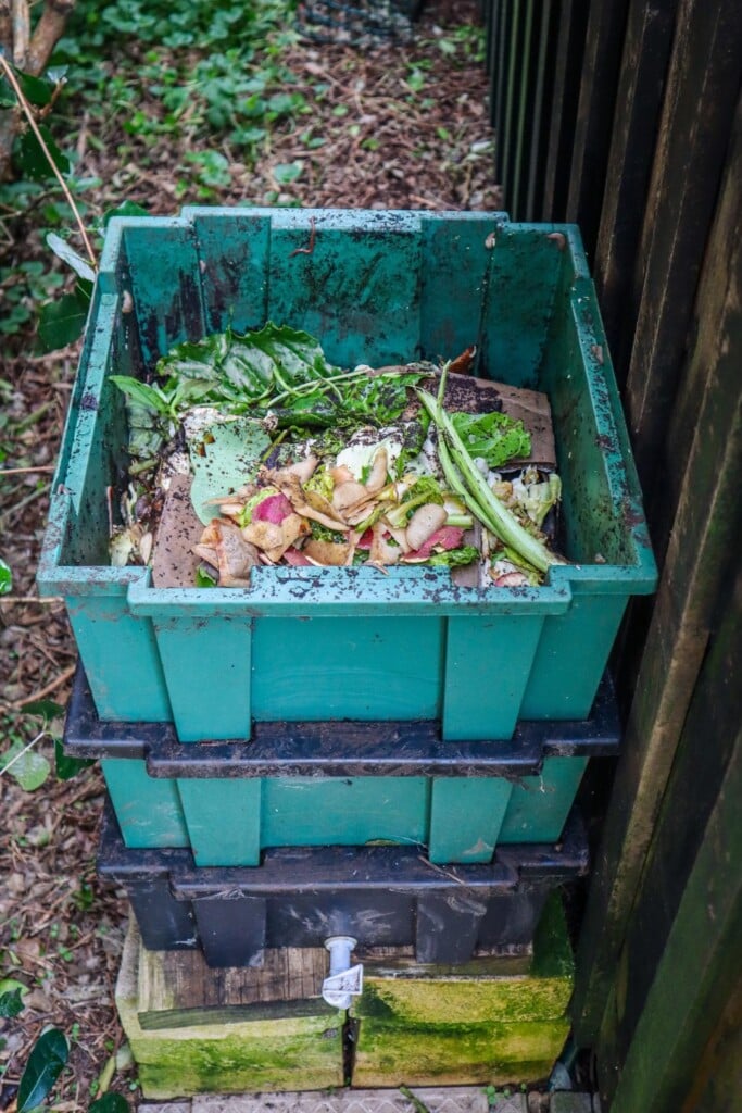 backyard worm farm