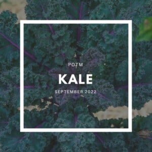Kale