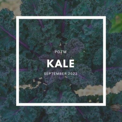 Kale