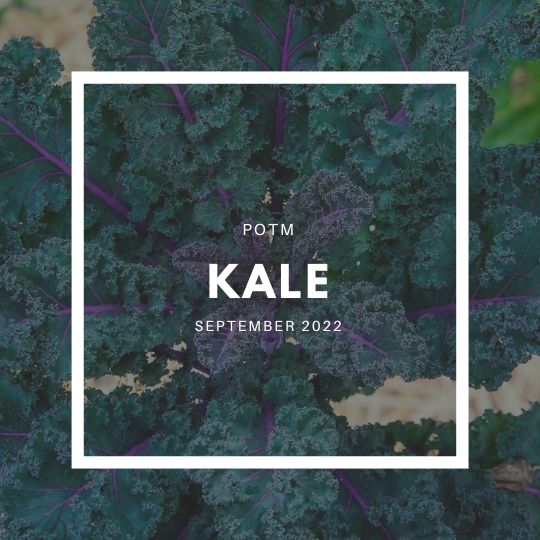 Kale