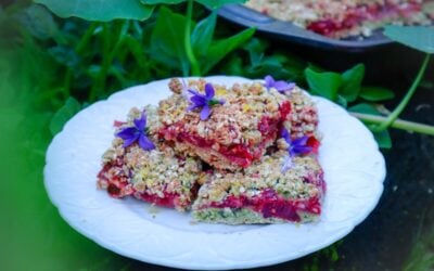 Rhubarb Crumble Slice