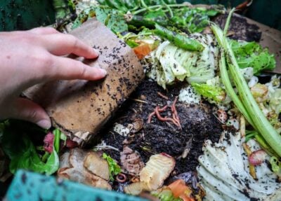 Setting up a Backyard Worm Farm