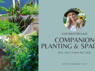 Bonus masterclass: Companion Planting and Spacing