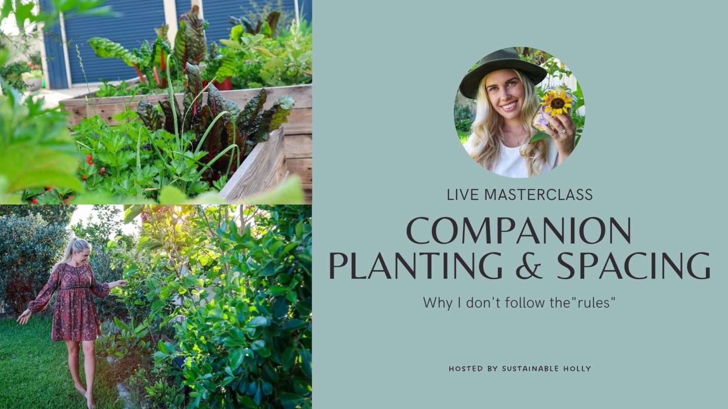 Companion Planting and Spacing