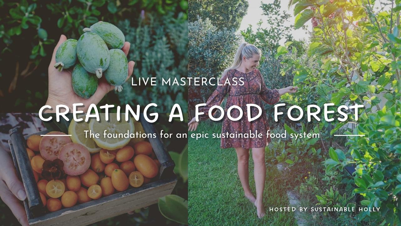 food forest workshop