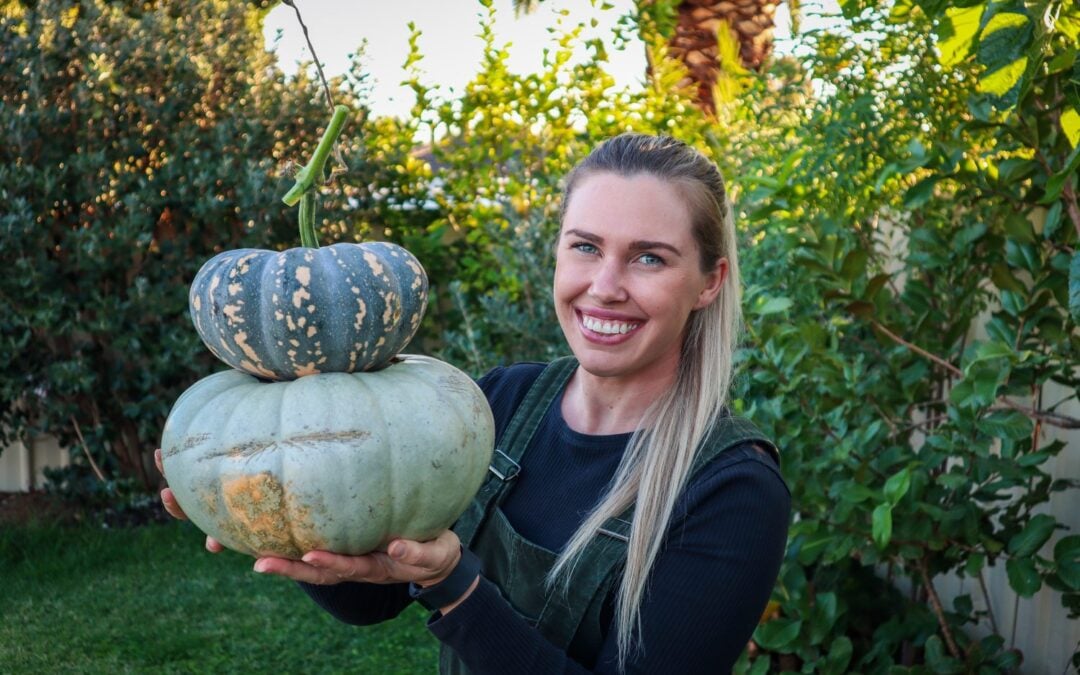 Guide to Storing Pumpkins