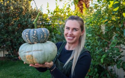 Guide to Storing Pumpkins