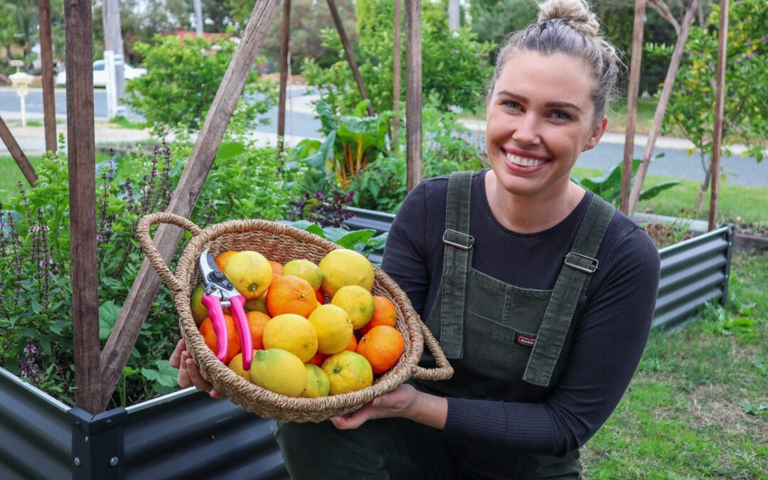 10 ACTIONABLE STEPS to help you achieve your sustainable homestead GOALS