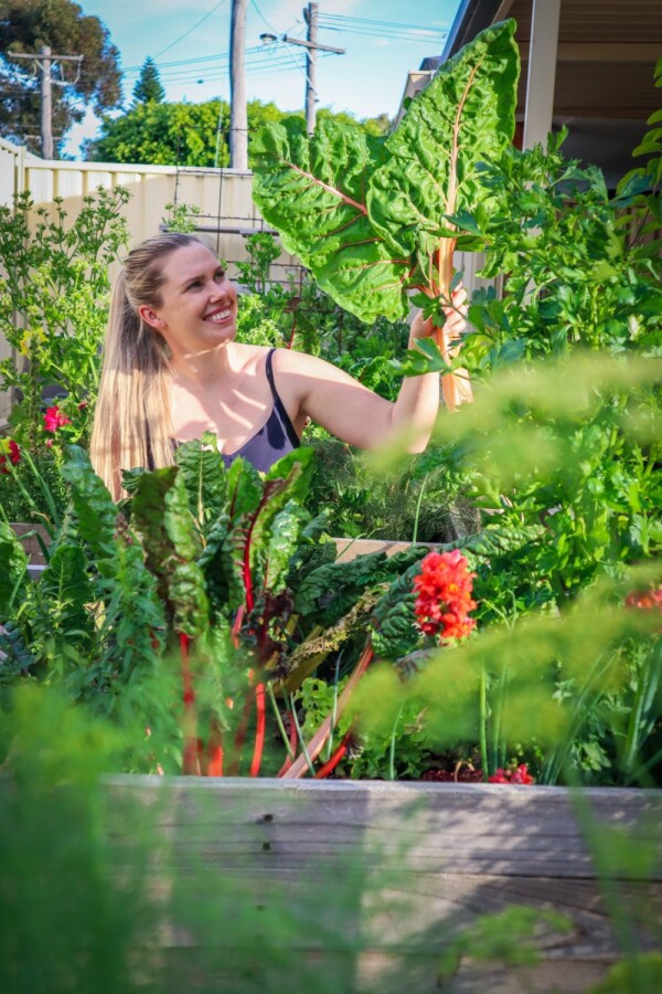 Onsite Edible Garden Consultation (Perth) - Image 6