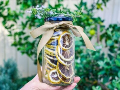 100 ways to make money from your Garden or Homestead