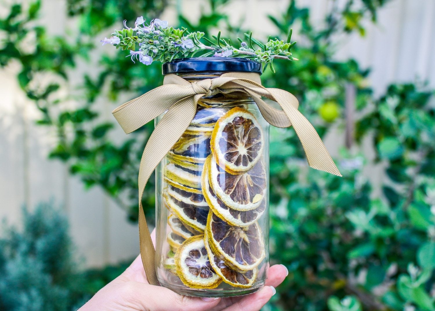 ways to make money from your garden or homestead
