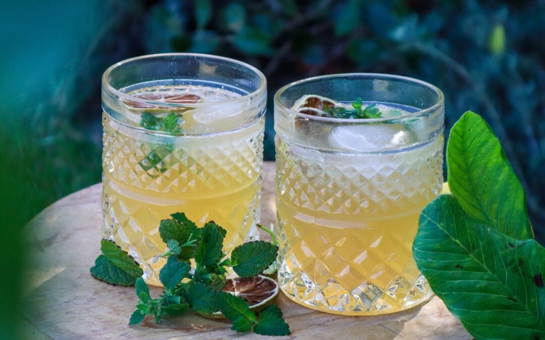 Chill out – Lemon Balm Lemonade