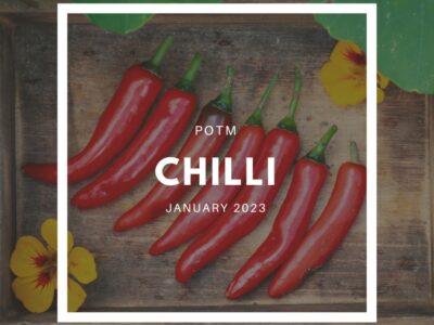 Chilli