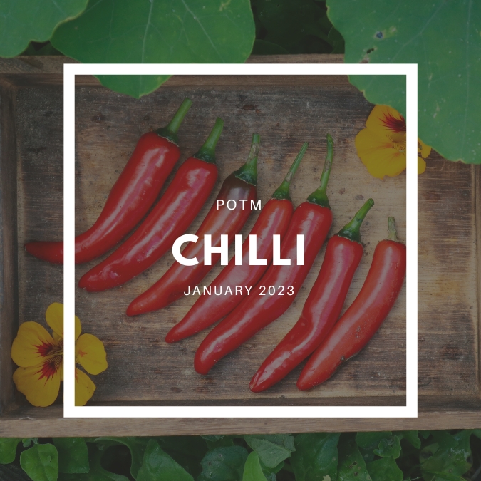 Chilli