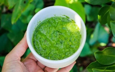 Simple Homemade Green Curry Paste with Fresh Garden Herbs