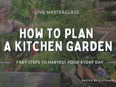 How to plan a Kitchen Garden