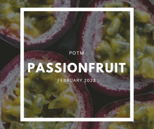 Passionfruit