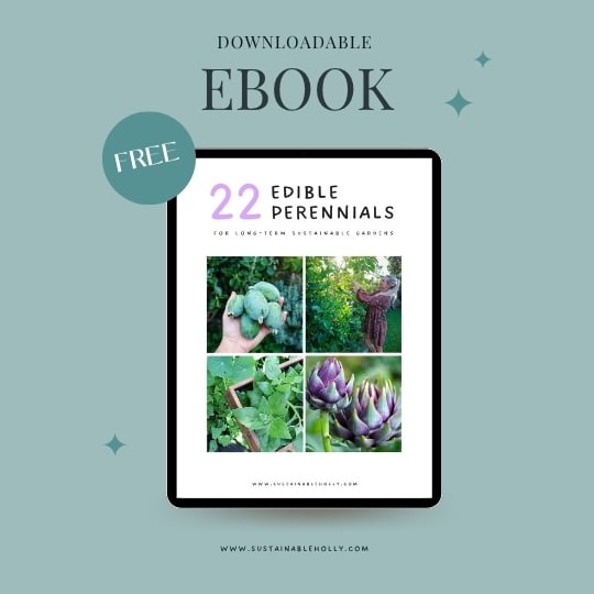 edible perennials