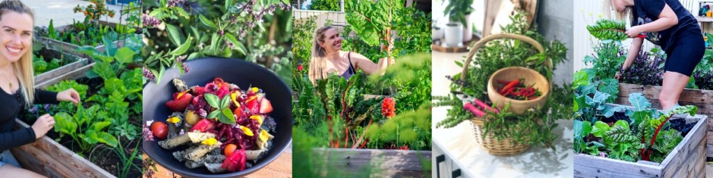 kitchen garden workshop