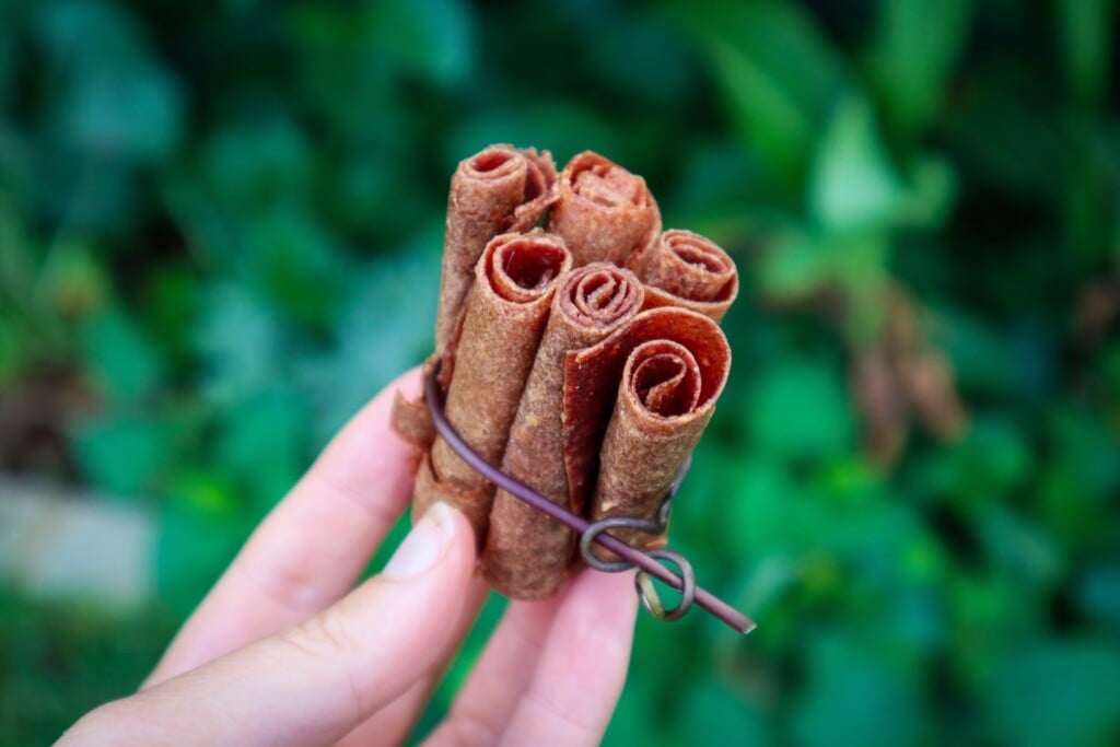 fruit leather